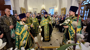 «Осанна! Благословен грядущий во Имя Господне, Царь Израилев!»