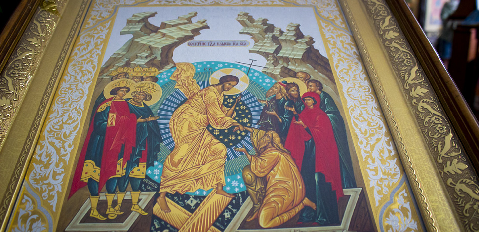 «Я есмь Лоза, а вы ветви» (Ин.15:5)