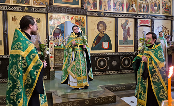 Церковь празднует Вход Господень в Иерусалим