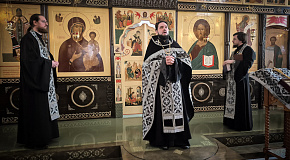 Покаяния отверзи ми двери, Жизнодавче…